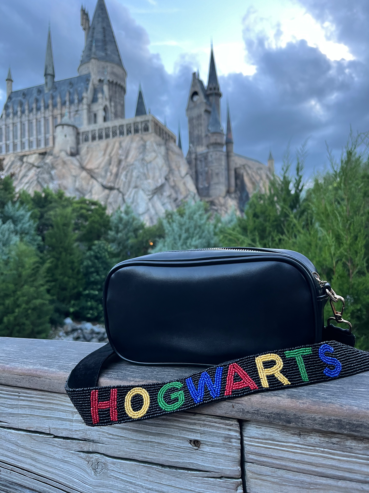 Magic School Seed Bead Purse Strap image 0